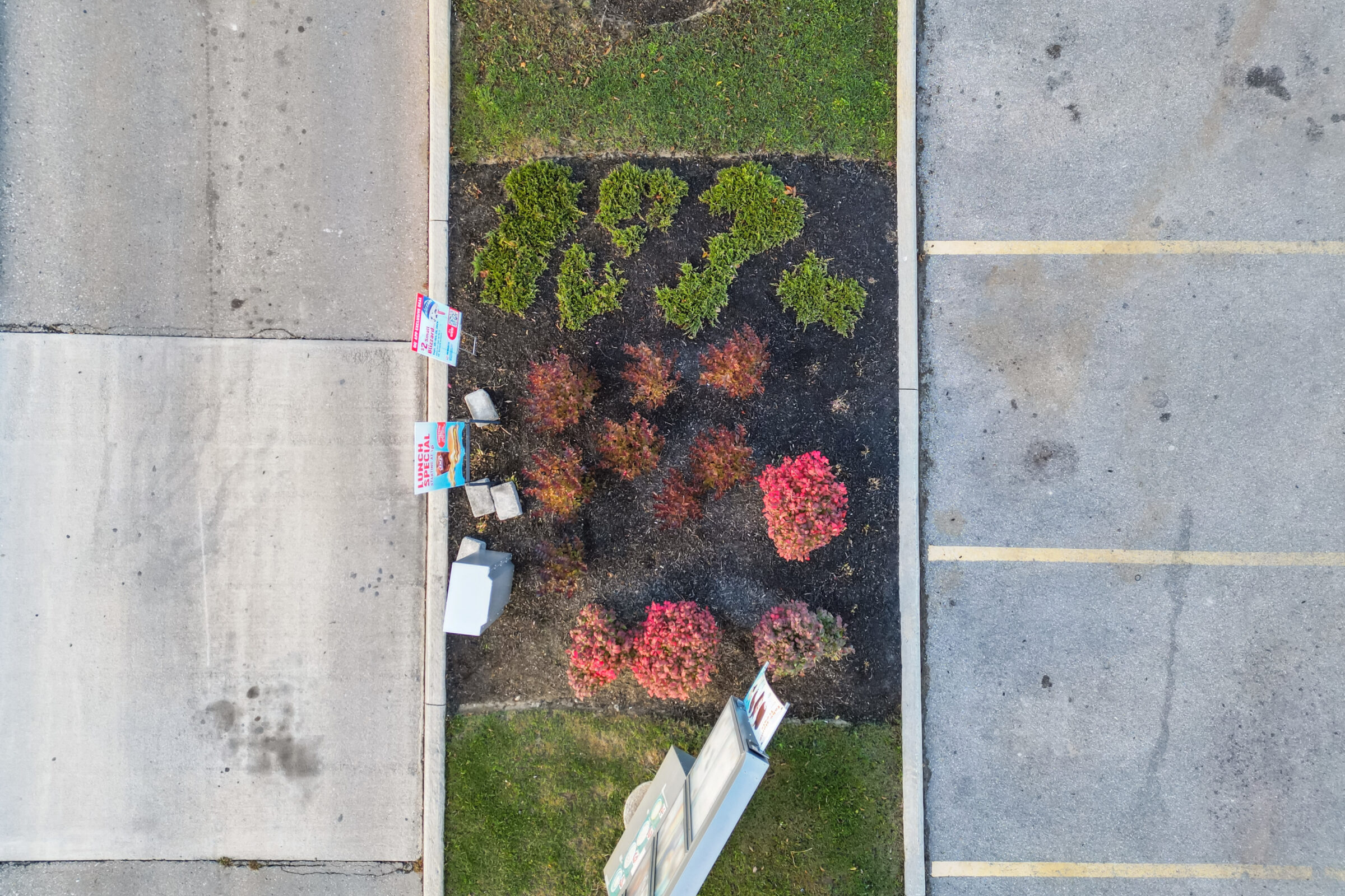 Aerial view of a parking lot with colorful shrubs and political signs, bordered by concrete and grass, creating an organized landscape contrast.