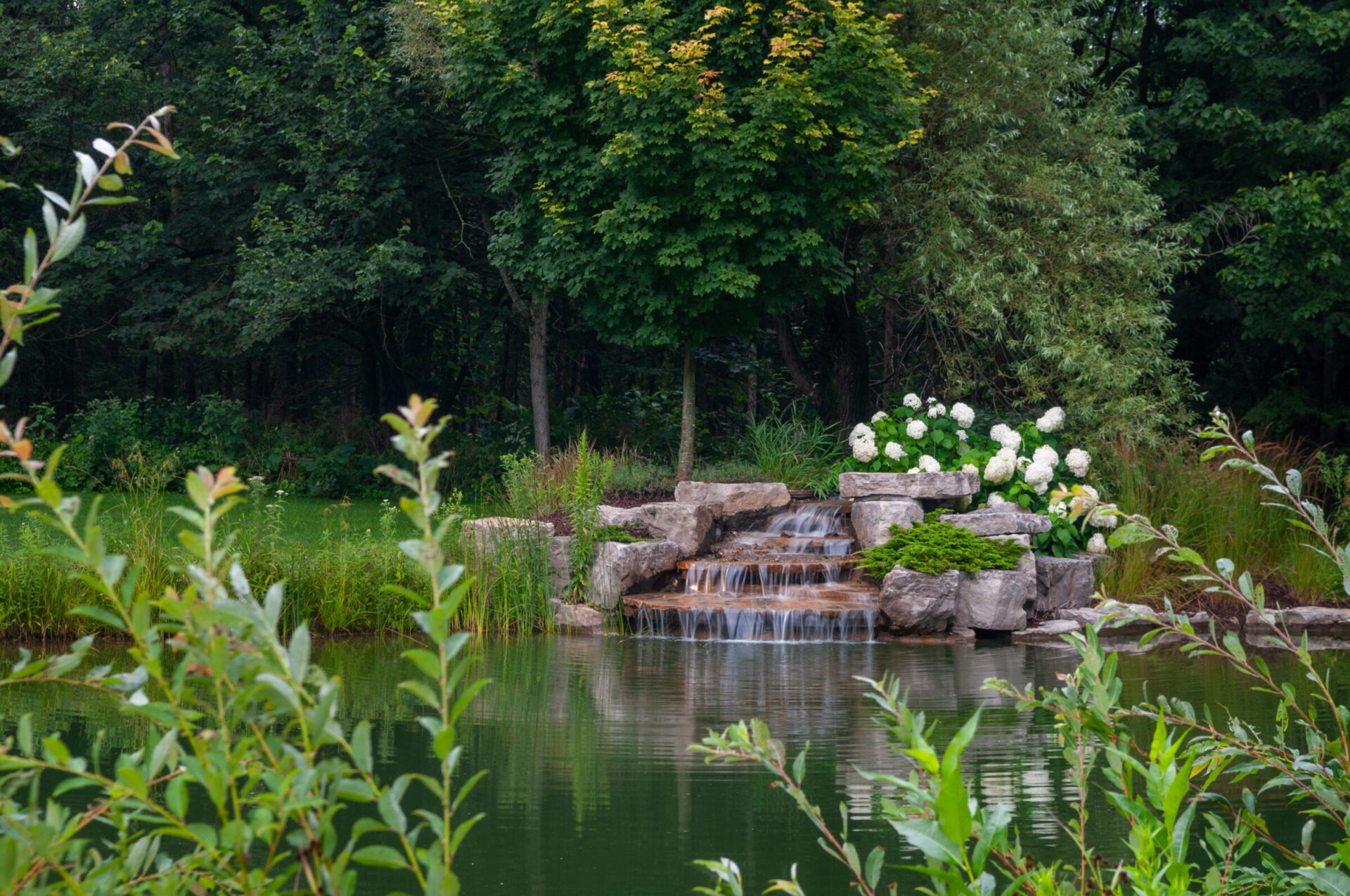 A serene garden scene with a small waterfall surrounded by rocks, greenery, and white flowers, reflecting in a calm pond.