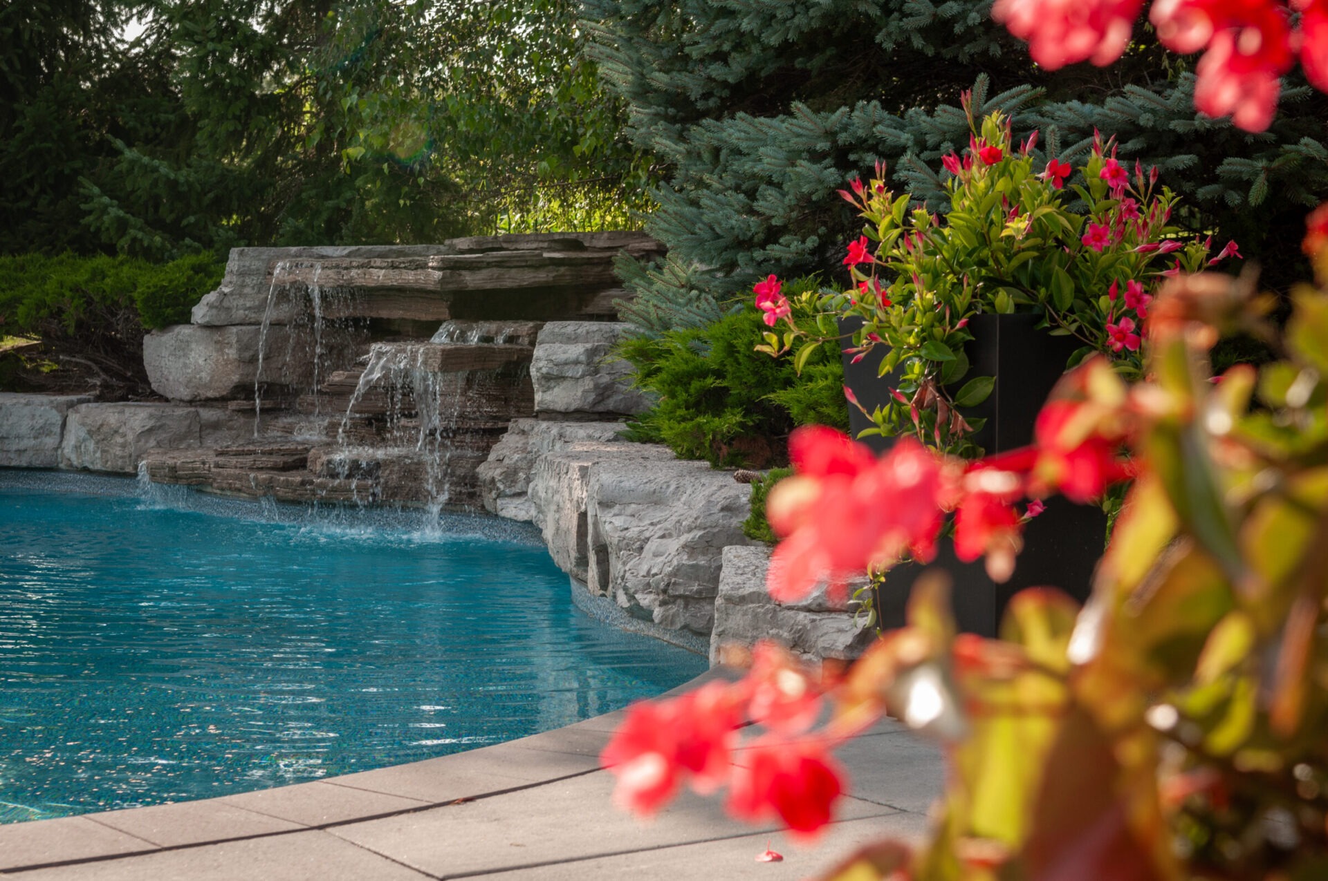 A serene garden features a cascading waterfall into a blue pool, surrounded by lush greenery and vibrant red flowers in pots.