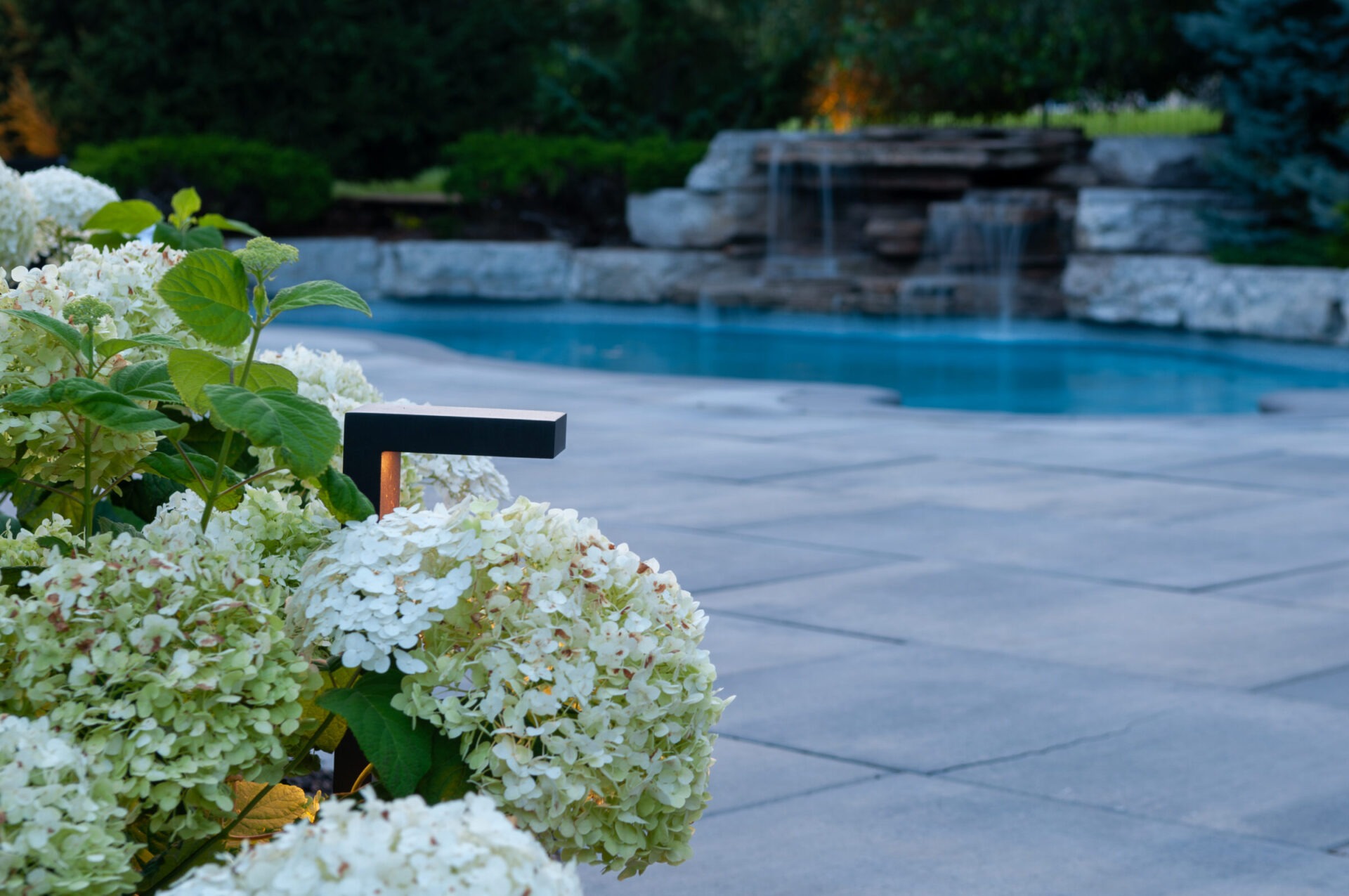Blooming hydrangeas beside a modern pool, surrounded by stone tiles and lush greenery, create a serene garden atmosphere with a waterfall feature.