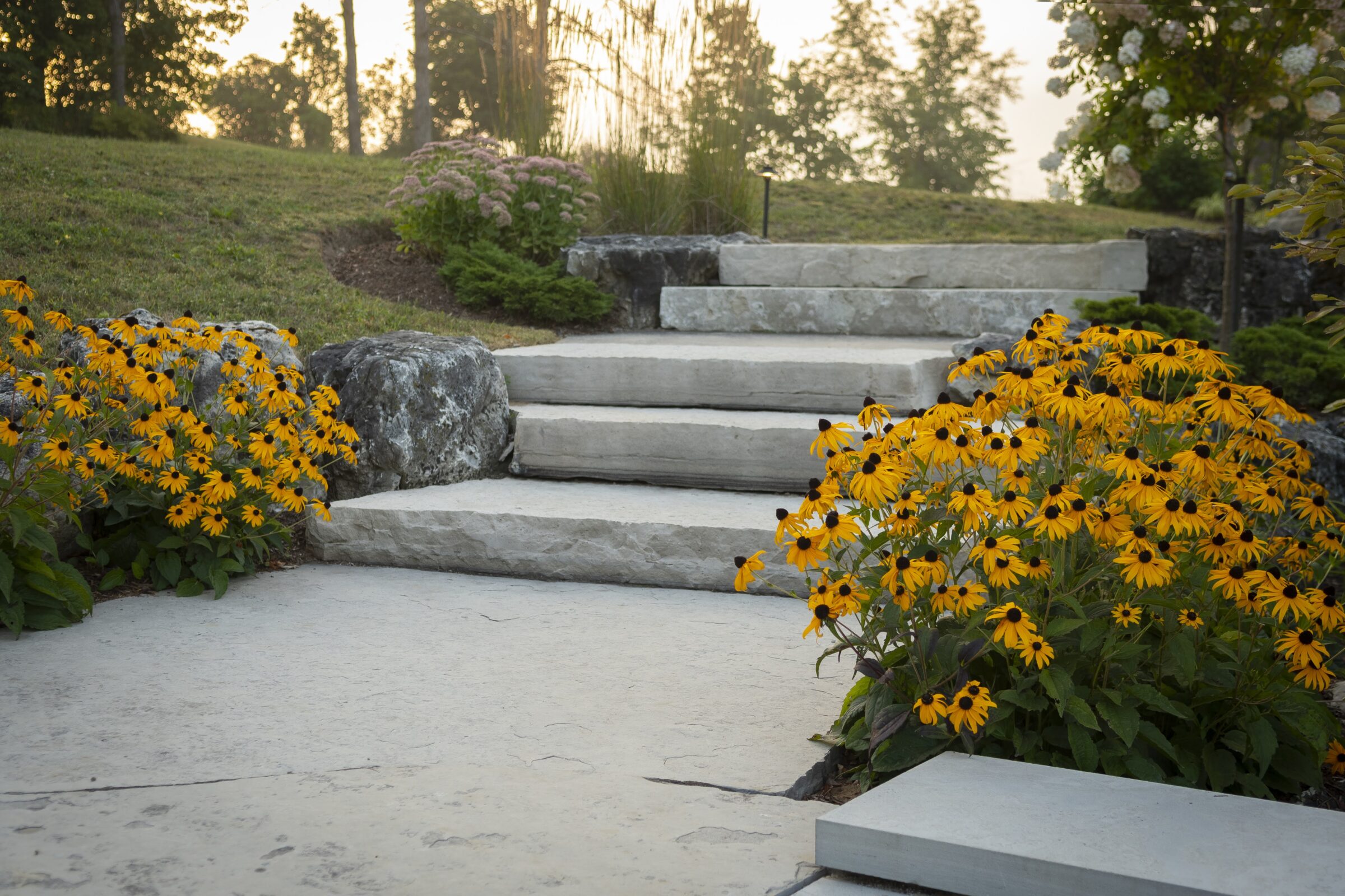 Stone steps surrounded by vibrant yellow flowers and lush greenery under a soft, serene morning light. No recognizable landmarks or historical buildings.