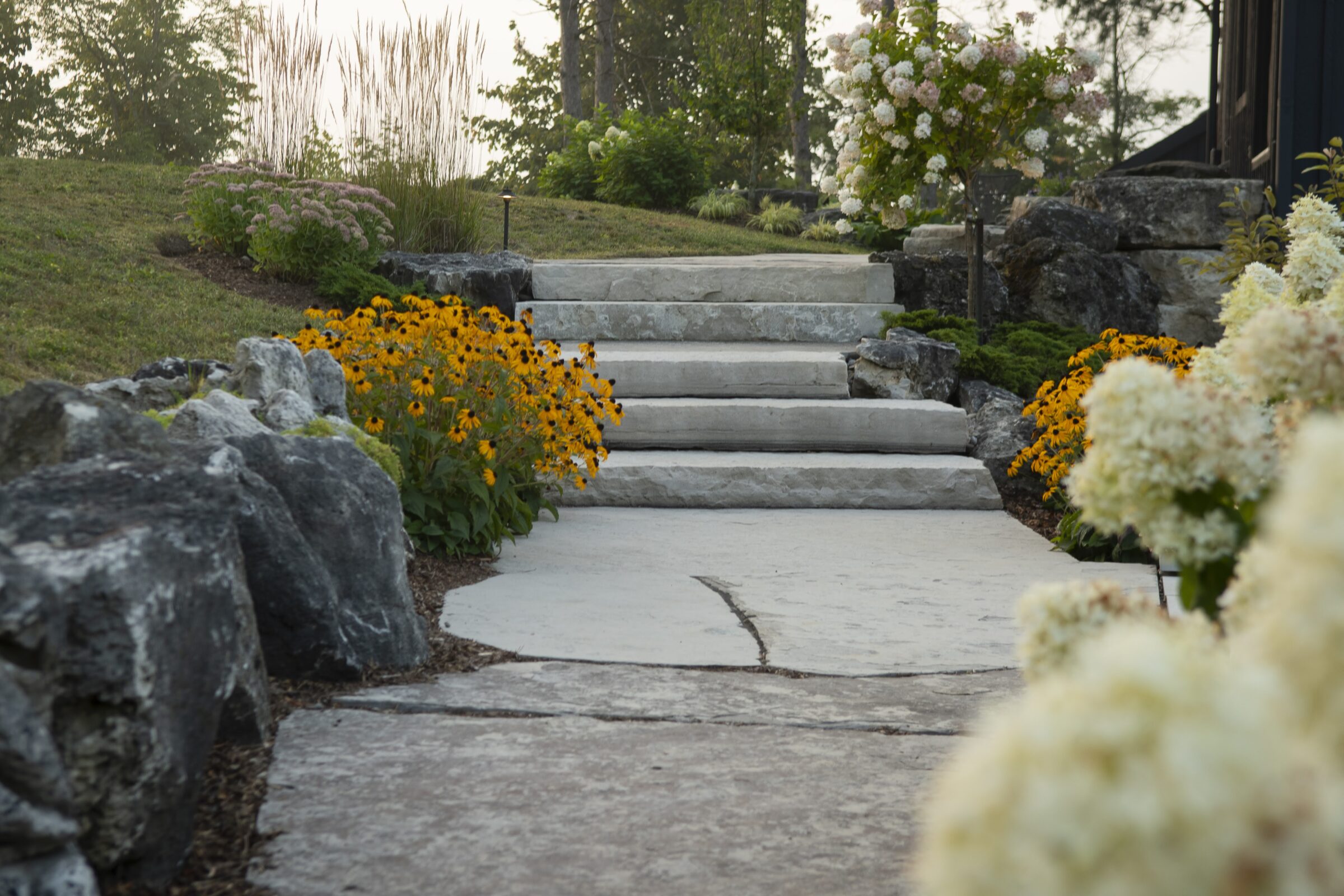 Stone steps leading through a garden with yellow and white flowers, surrounded by rocks and greenery, creating a serene outdoor pathway.