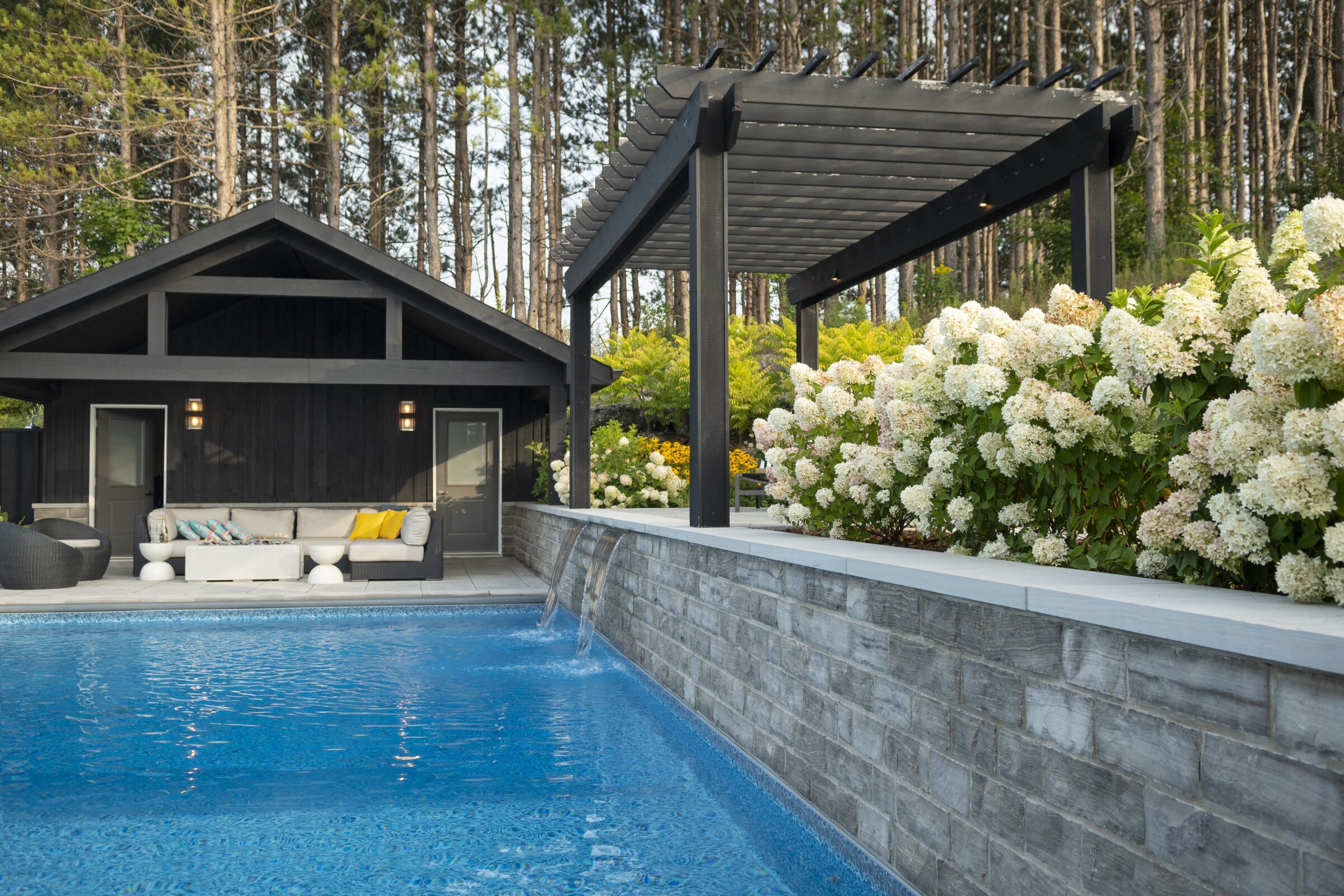 Modern backyard with pool, pergola, and cozy seating area. Surrounded by lush greenery and white flowers. Peaceful and inviting atmosphere.