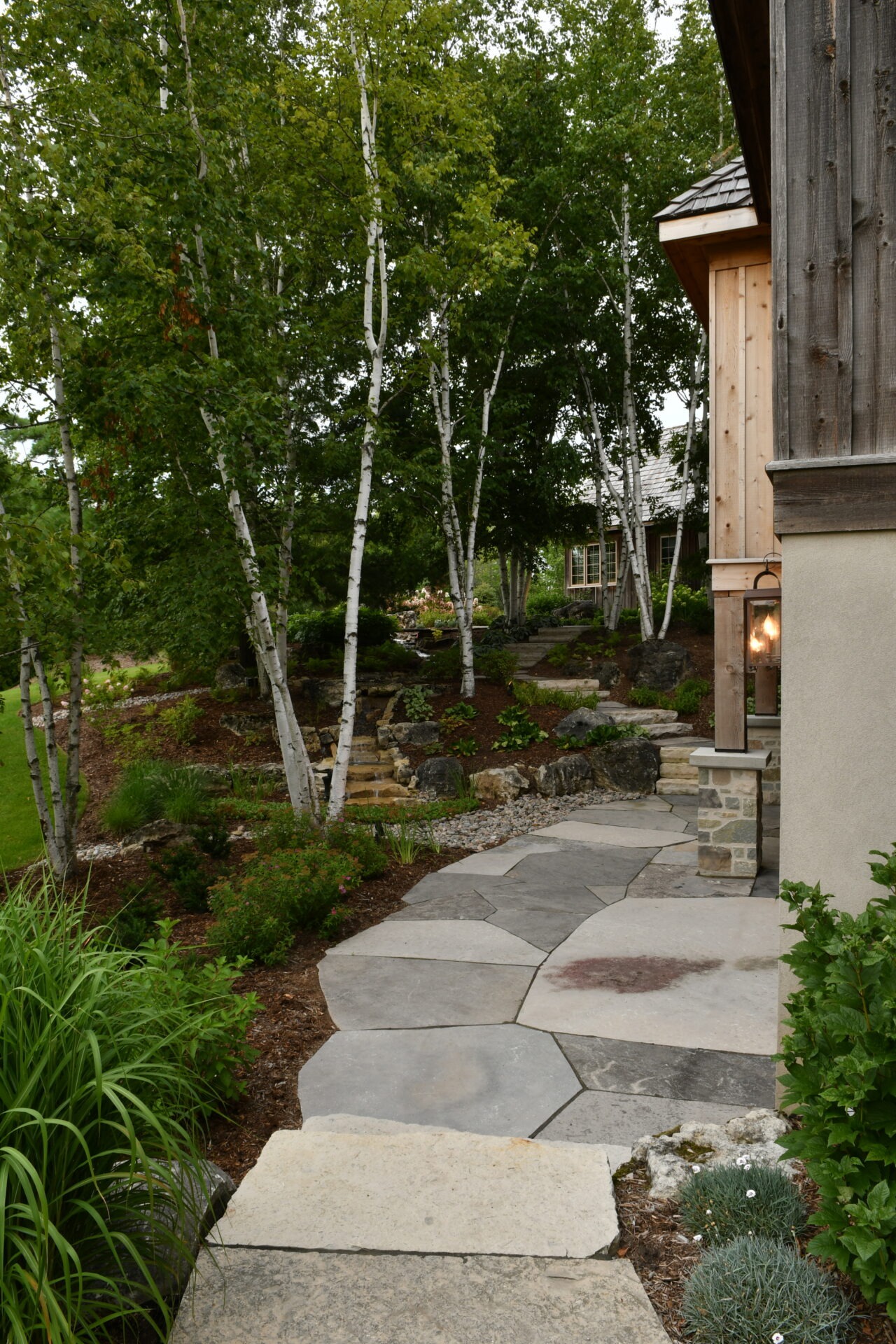 Stone pathway winds through a lush, landscaped garden with birch trees beside a rustic wooden building. Natural serenity and greenery surround.