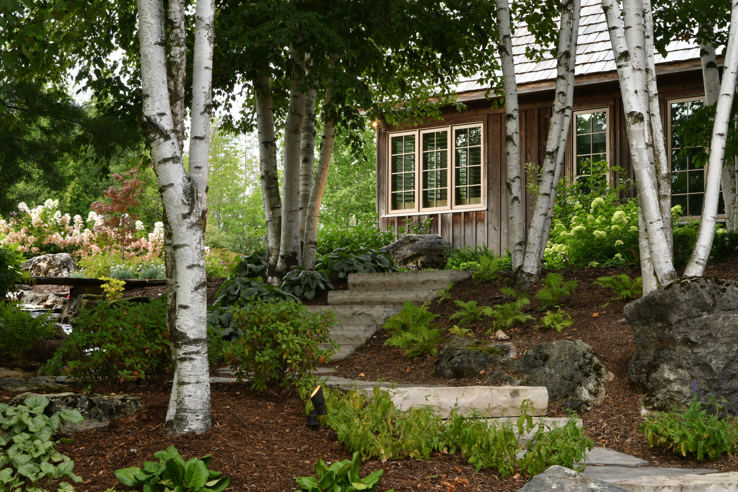 A wooden cabin surrounded by birch trees, lush greenery, and stone steps creating a serene garden setting with a rustic charm.
