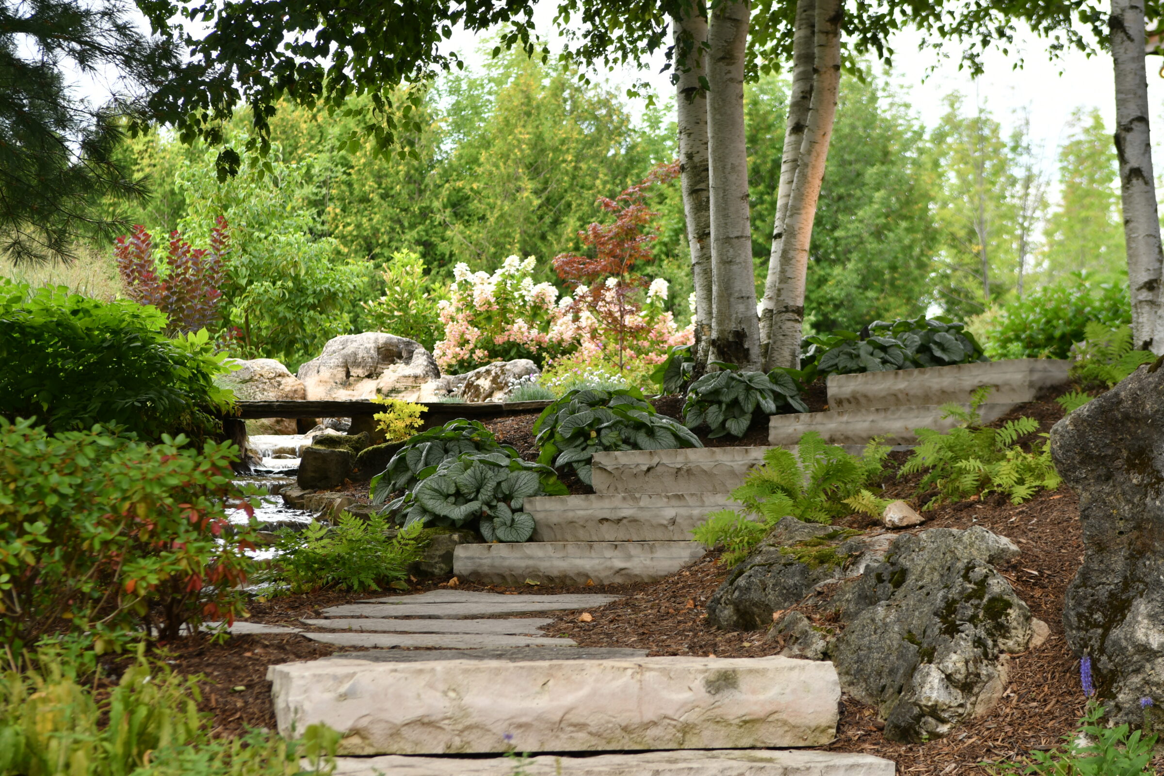 A serene garden path with stone steps, lush greenery, birch trees, and a small flowing stream, surrounded by rocks and colorful foliage.