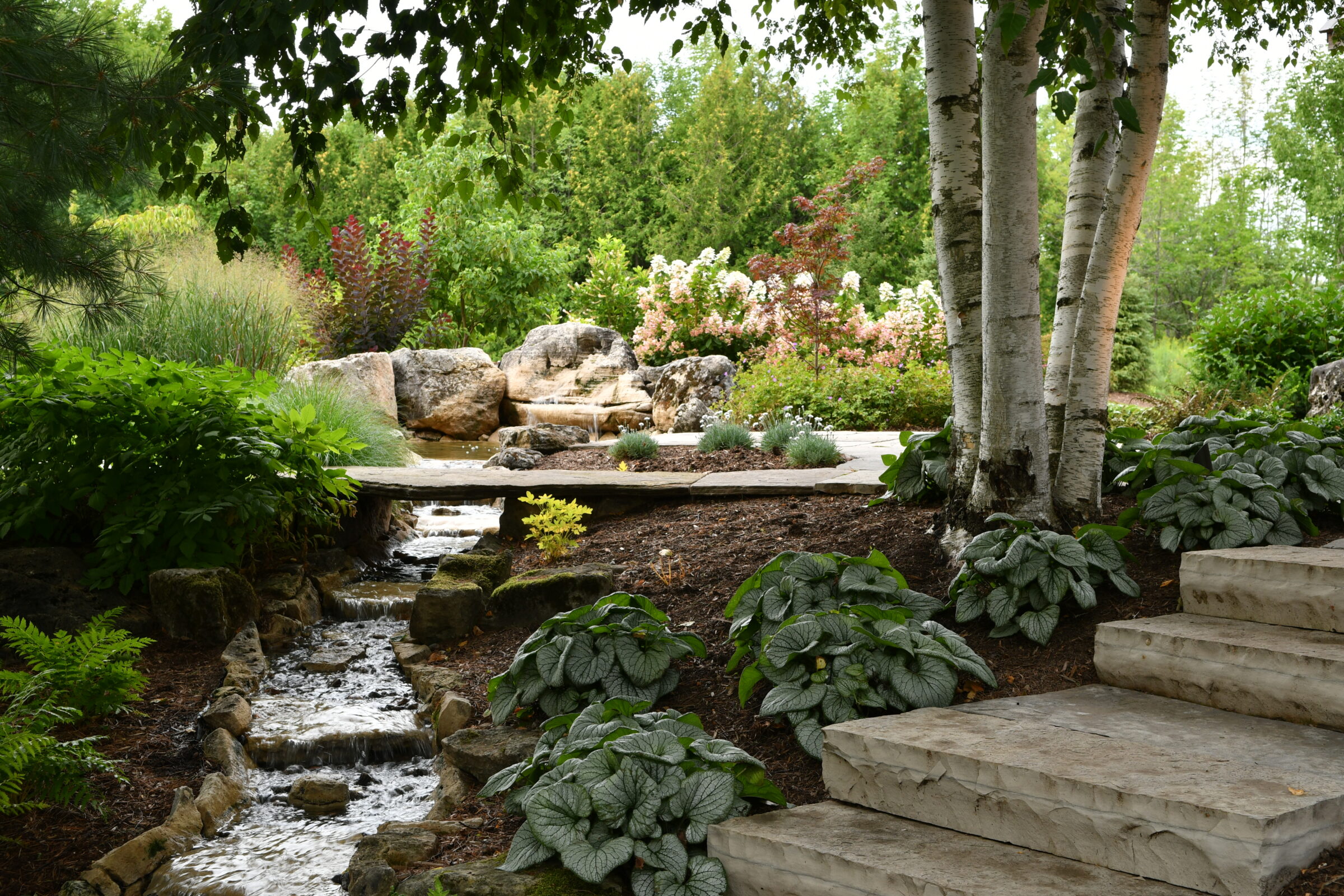 A serene garden features a small stream, lush greenery, colorful flowers, stone steps, and birch trees under a shaded canopy.