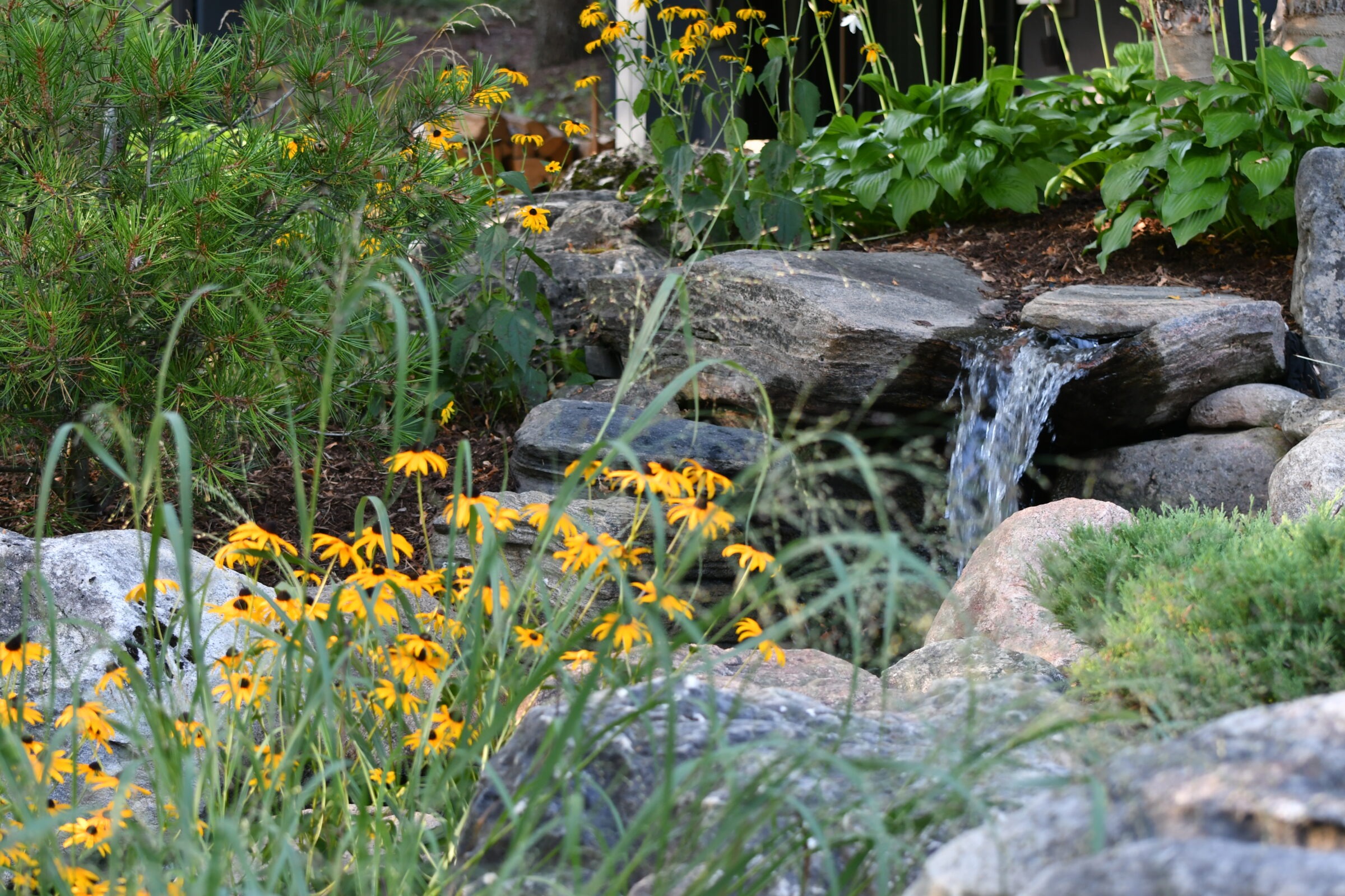 A tranquil garden scene with yellow flowers, lush greenery, and a small waterfall cascading over rocks. Peaceful and natural setting.