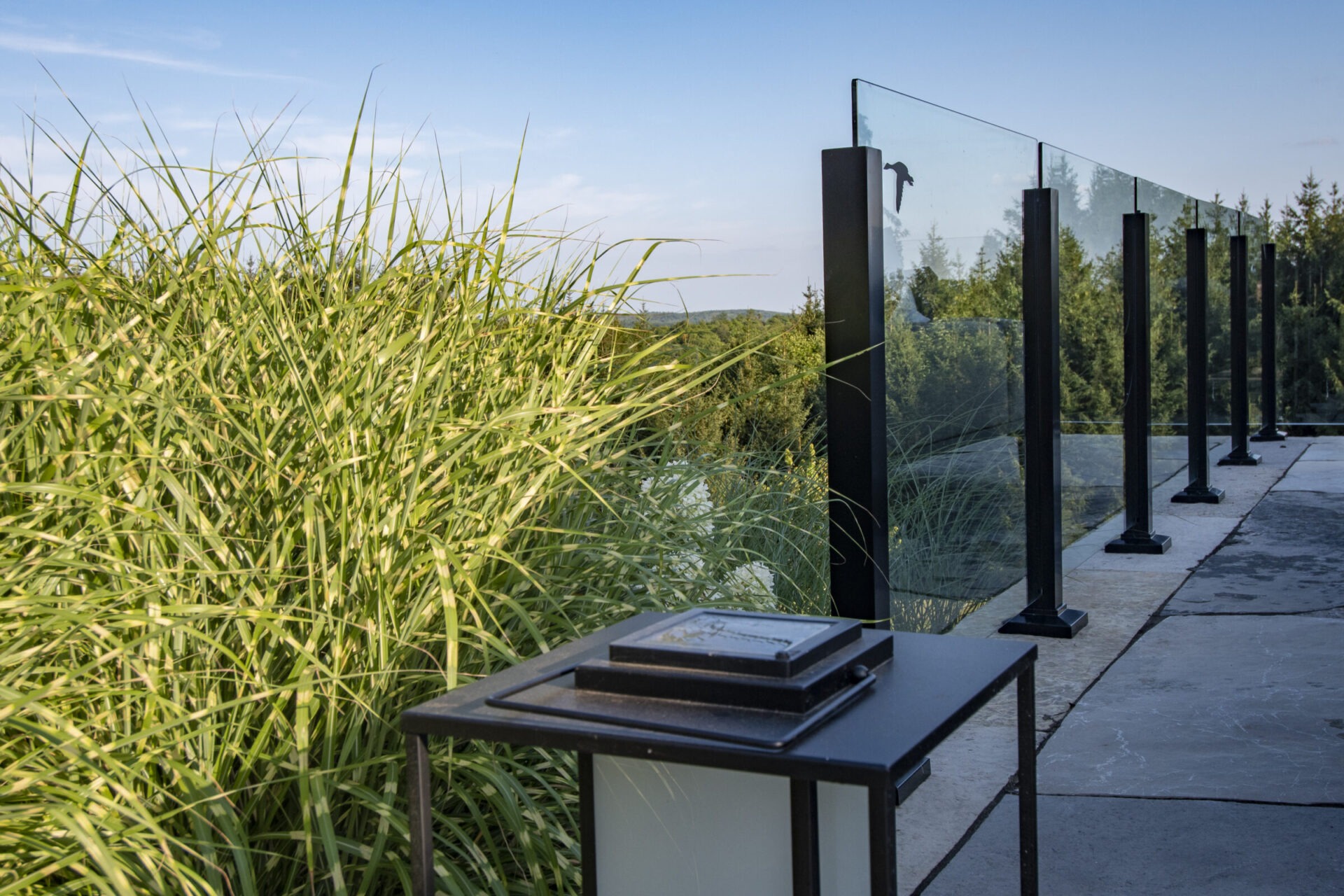 Tall grass beside a glass railing on a stone patio, overlooking a wooded landscape under a clear blue sky.