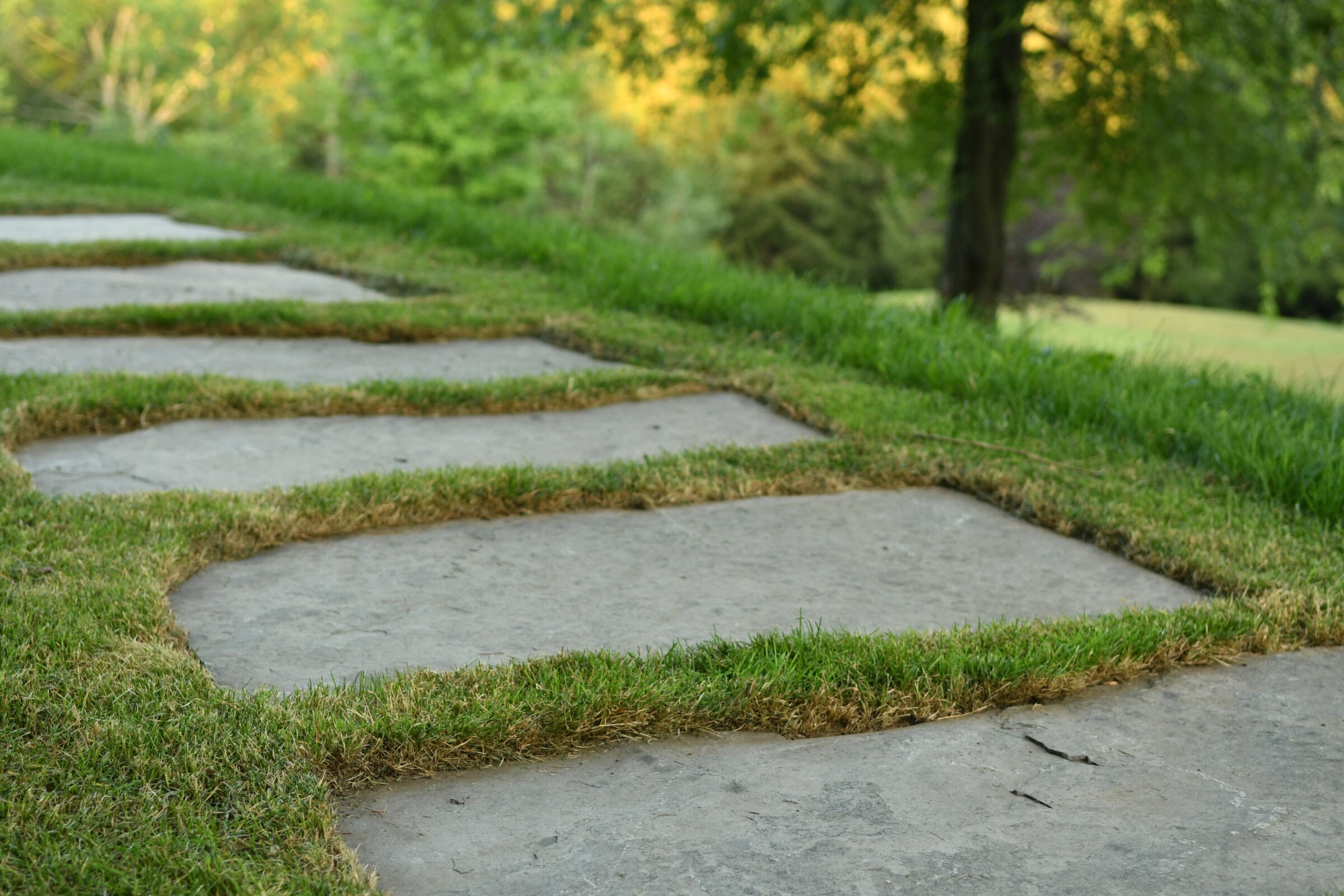 Stone pathway lined with grass curves through a lush, green park setting, bordered by scattered trees under a soft, golden light.