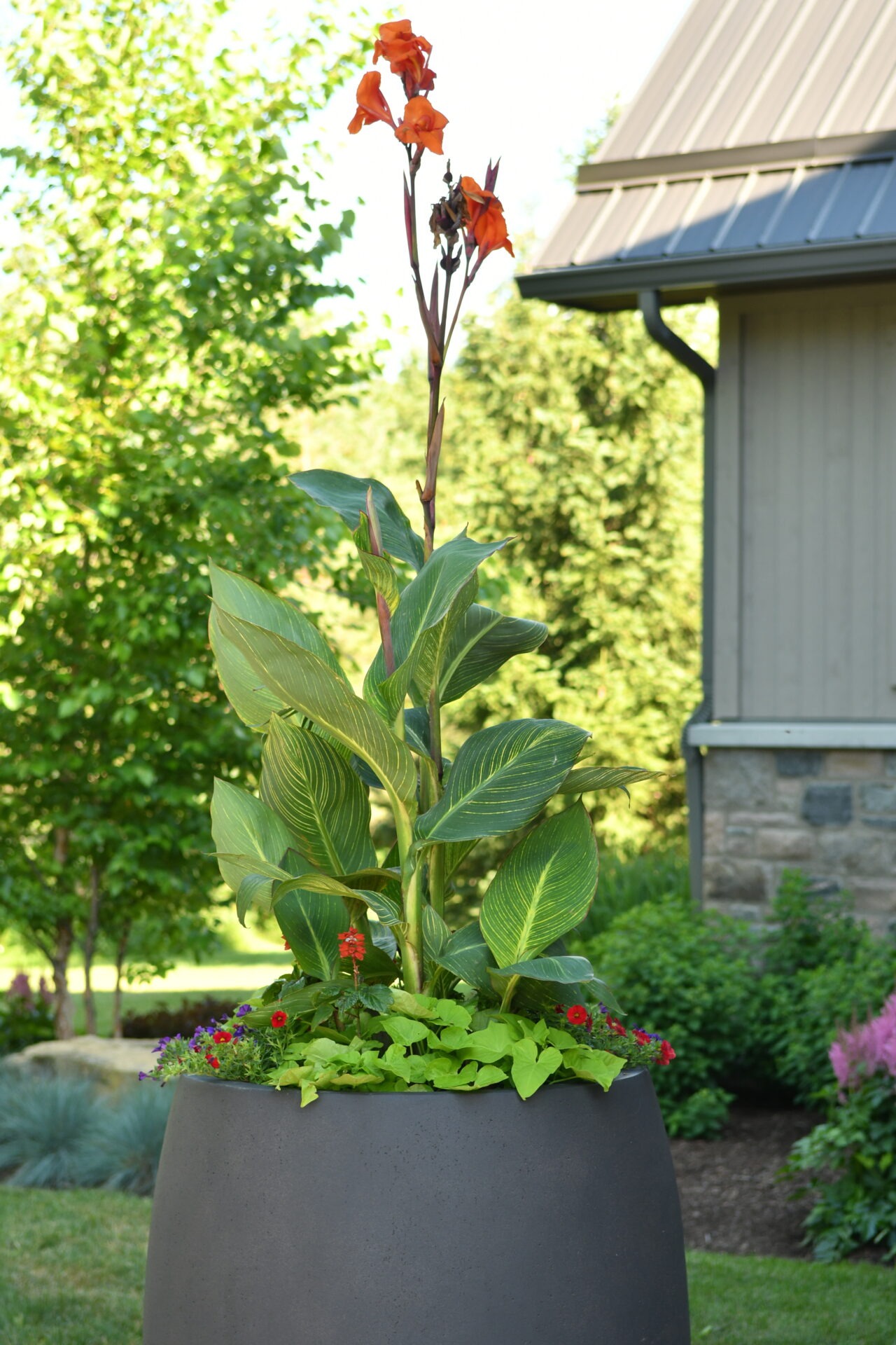 A large planter with lush green and orange flowering plants, placed near a building with trees in the background on a sunny day.