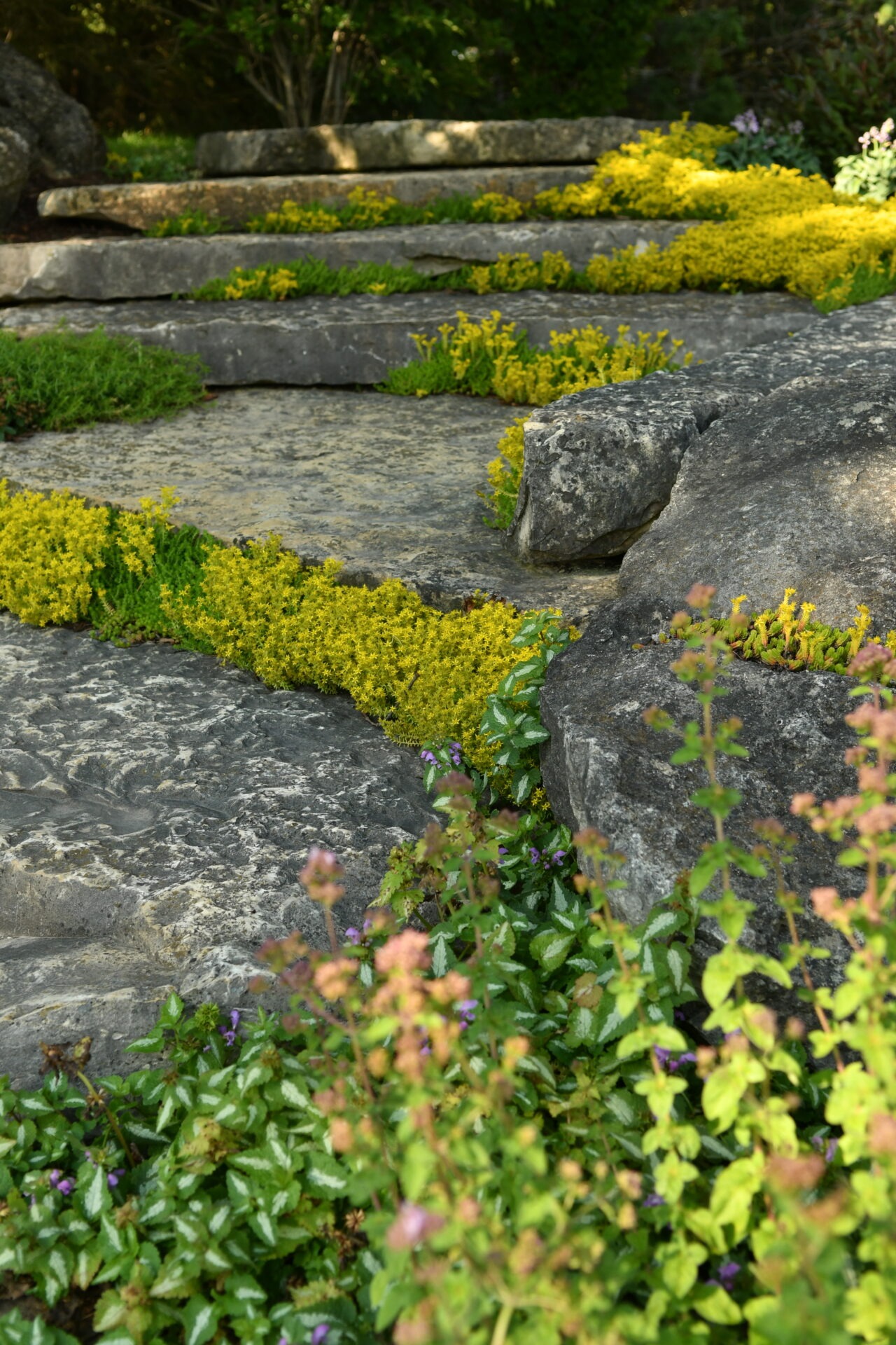 Stone steps with bright green and yellow foliage amidst natural rocks. The setting appears tranquil, surrounded by lush greenery and plant life.