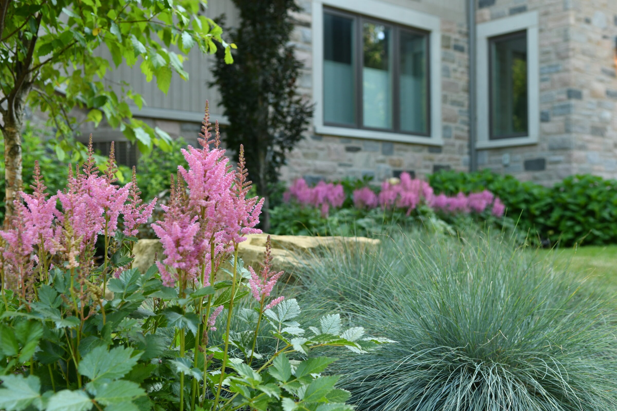 Vibrant garden showcases pink flowers and greenery, set against a stone building with large windows. Serene, lush environment enhances visual appeal.
