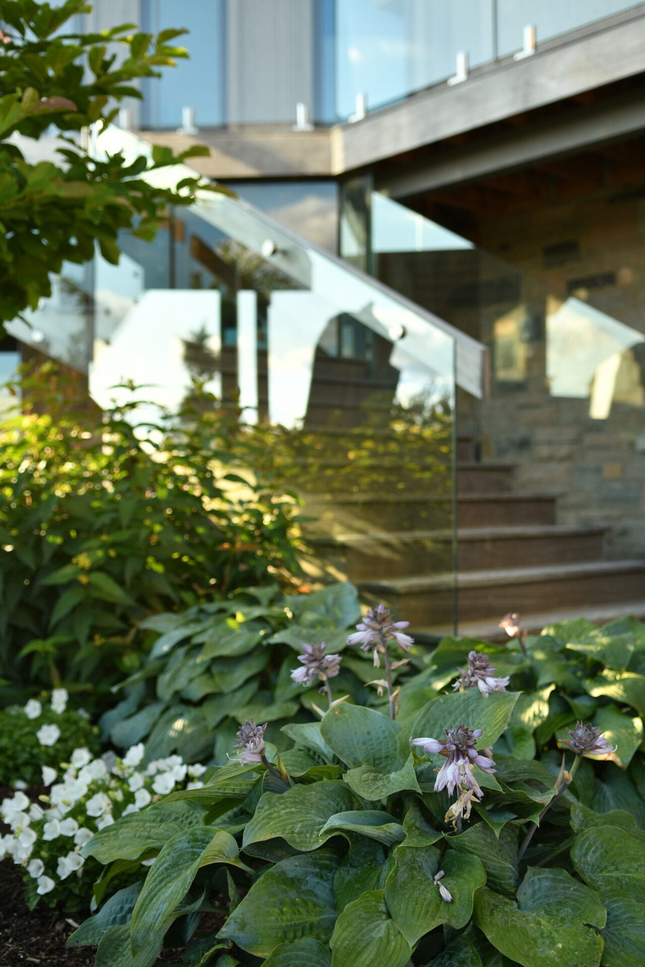 Modern home exterior with glass stair railing, surrounded by lush greenery and purple flowers in foreground, showcasing a tranquil garden setting.