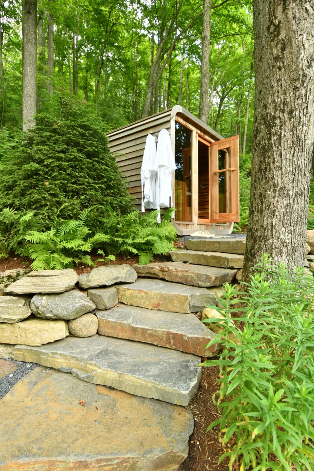 A serene forest setting with a wooden cabin, white robes, and stone steps nestled among lush greenery and tall trees.
