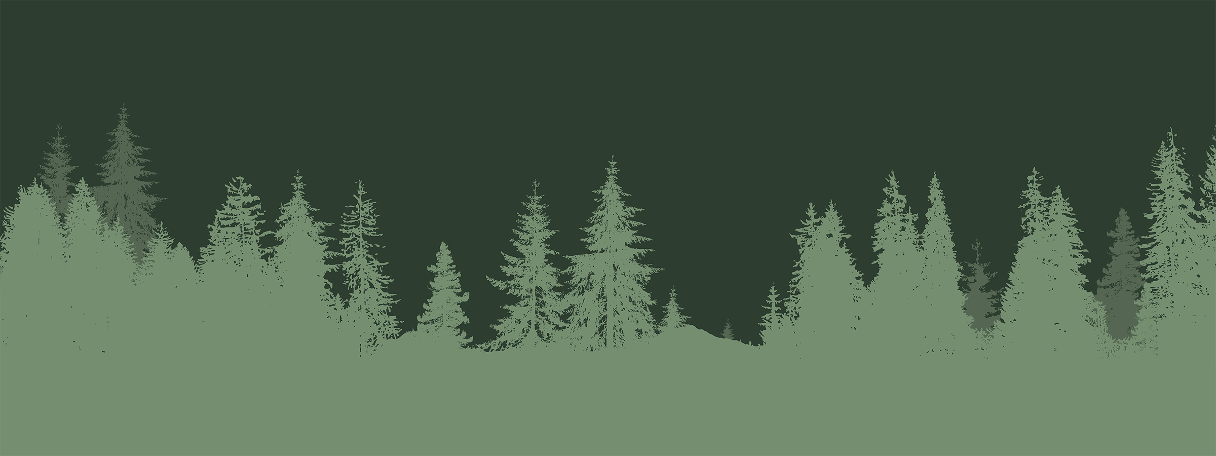 Silhouette of coniferous trees against a dark backdrop, creating a serene forest landscape with varying tree heights and dense foliage.