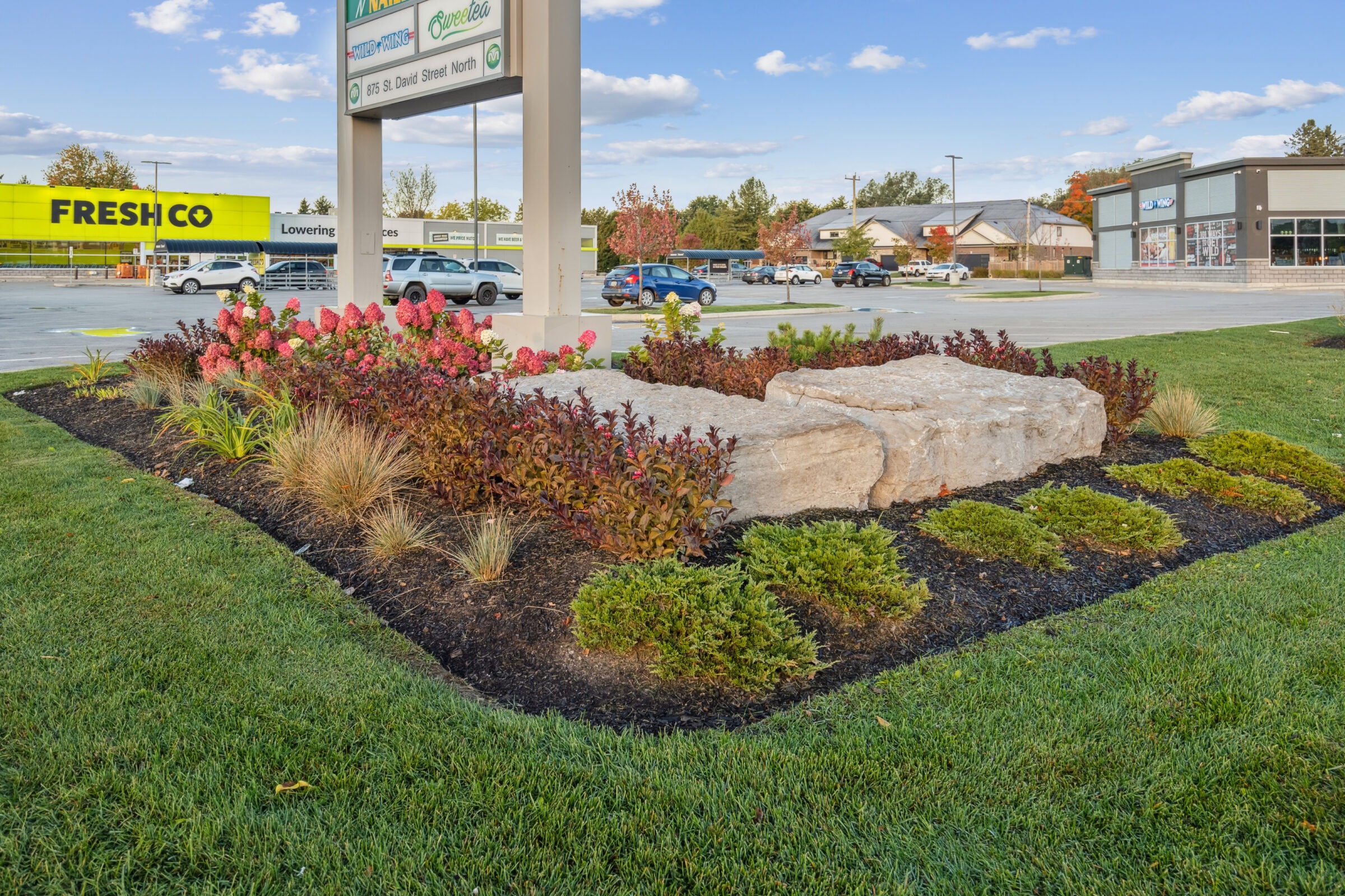 Vibrant landscaping with flowers and rocks in front of retail stores. Cars are parked in the background with a clear sky above.