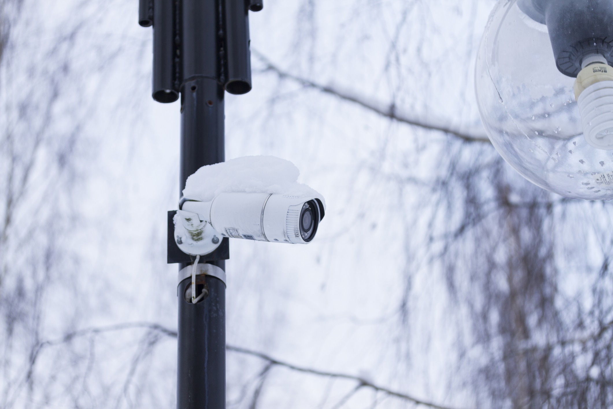 A snow-covered security camera and streetlight are mounted on a pole, set against a wintery backdrop of bare trees.