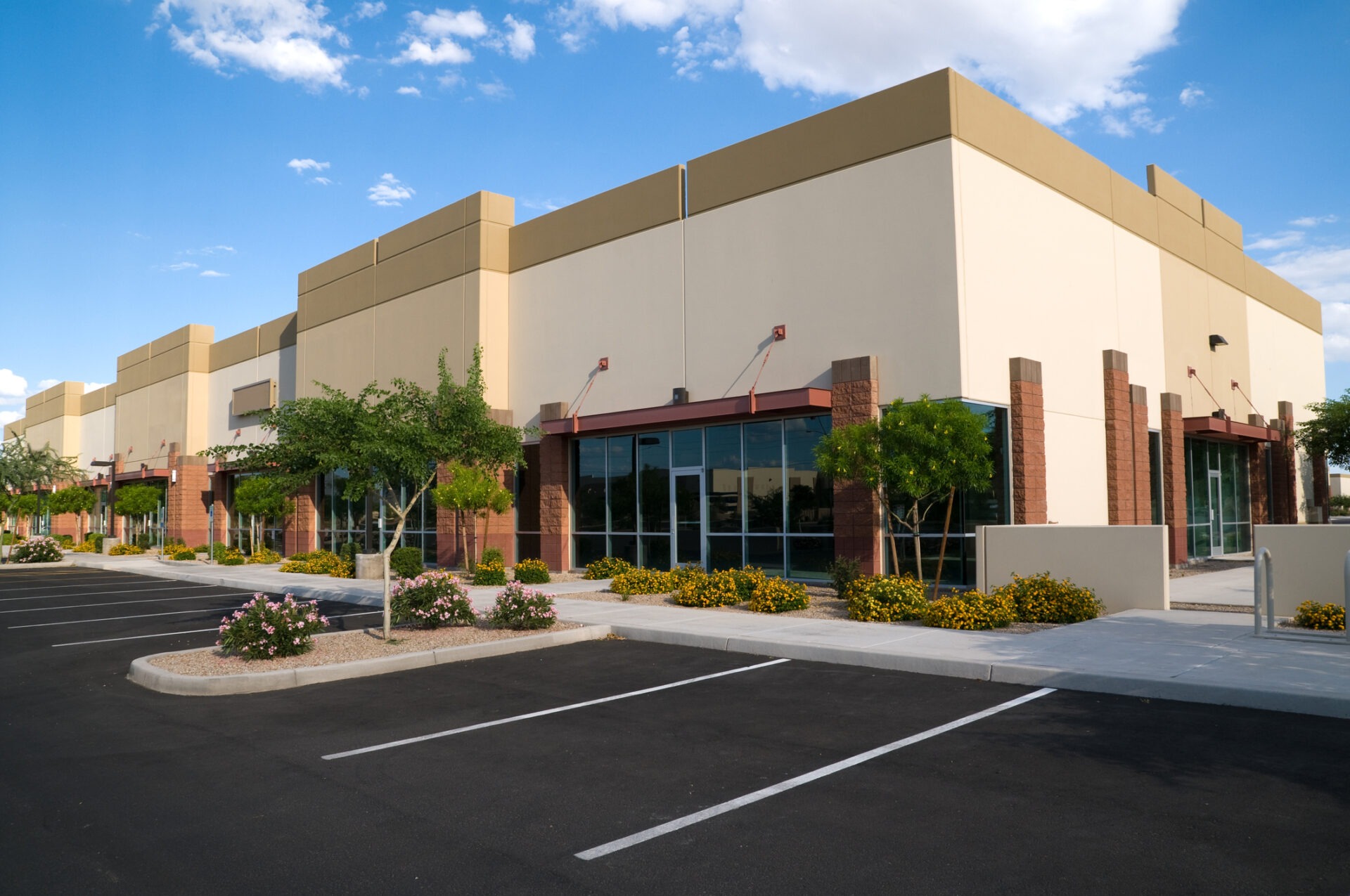 Empty parking lot by modern commercial building under clear blue skies, surrounded by landscaped greenery and flowering shrubs.