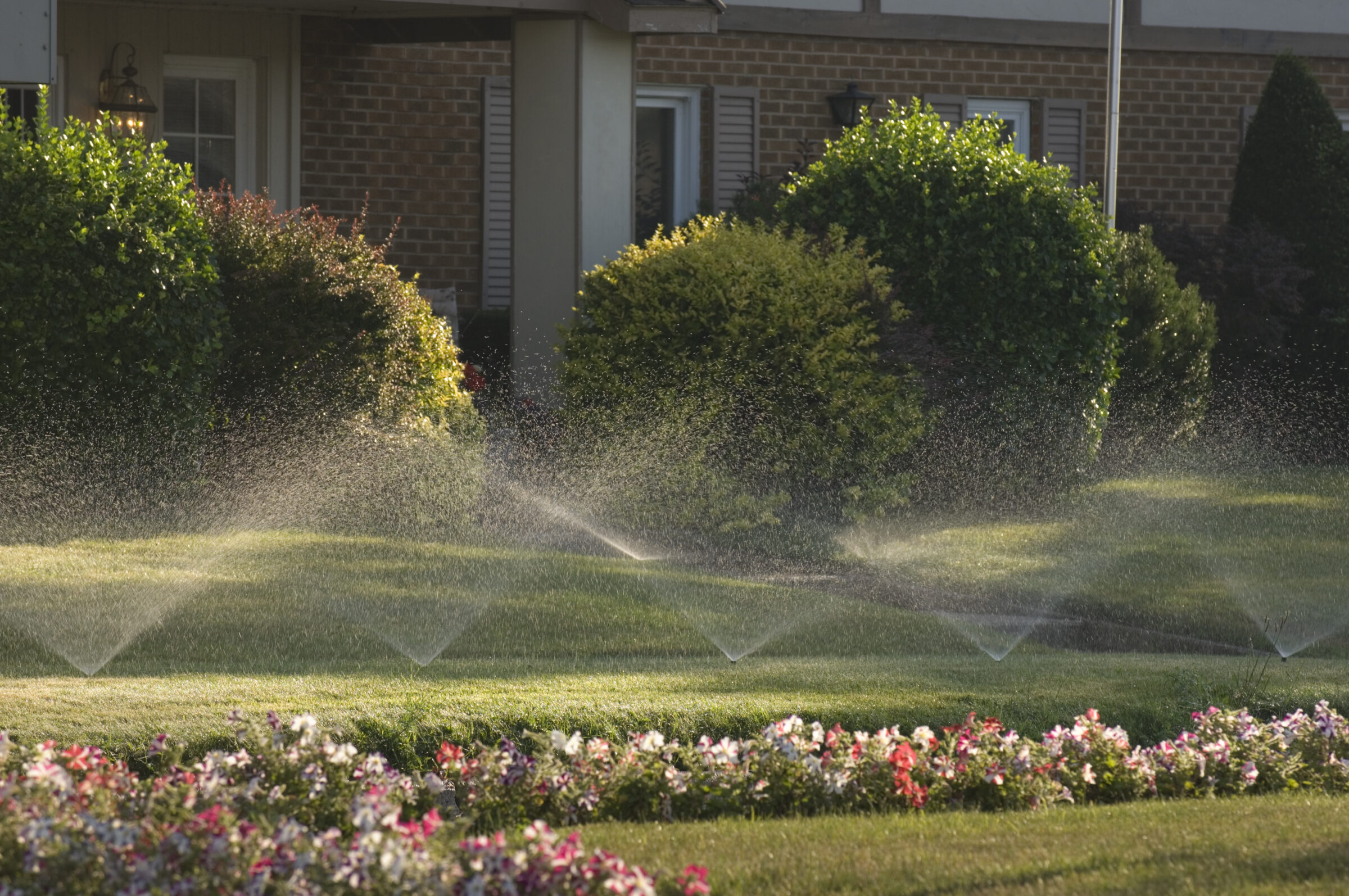 Sprinklers watering a vibrant garden in front of a brick house, surrounded by green shrubs and colorful flowers in full bloom.