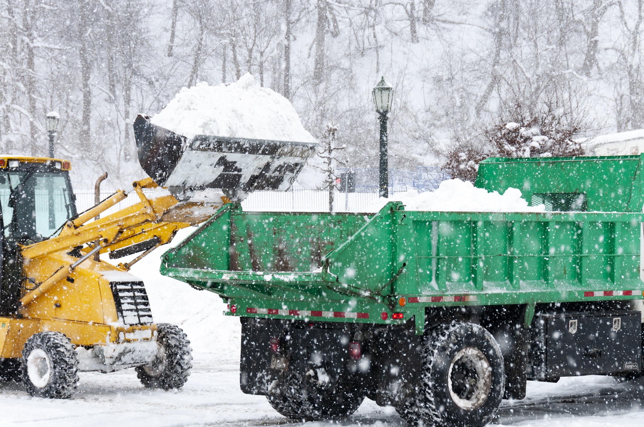 A yellow loader transfers snow into a green dump truck during heavy snowfall; trees and a lamp post are visible in the background.