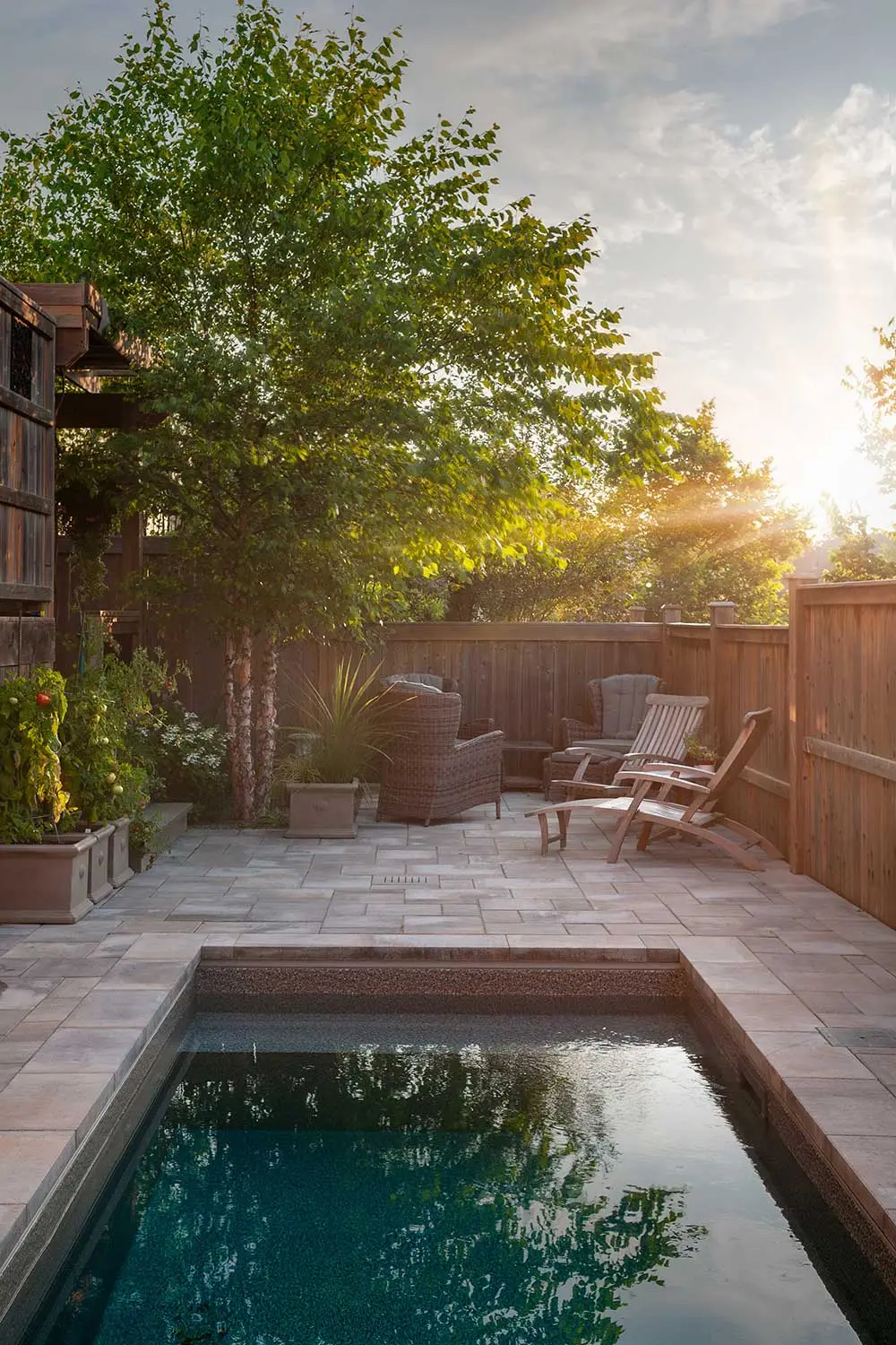 Sunlit patio with a small pool, surrounded by trees and wicker chairs. A wooden fence encloses the space, creating a cozy backyard retreat.