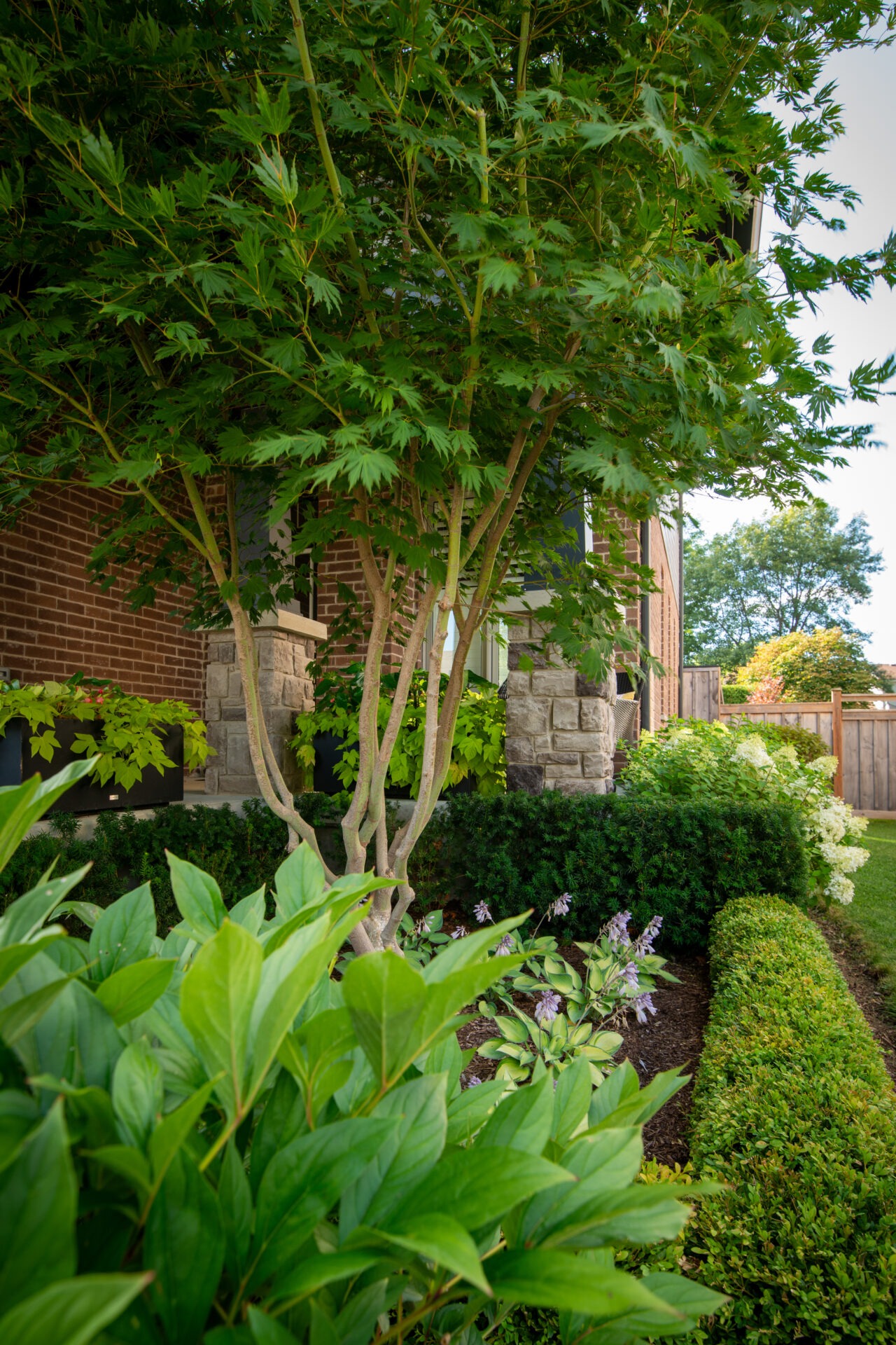 A space outdoors kept beautiful with garden maintenance tips.