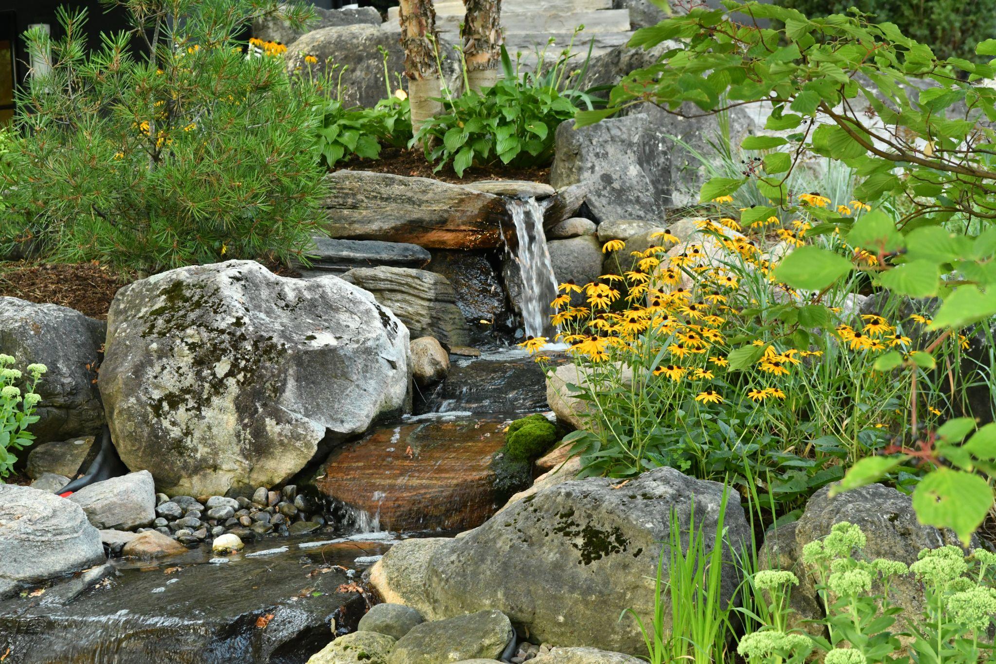 A serene garden scene featuring vibrant yellow flowers, smooth stones, and a small waterfall cascading over rocks, surrounded by greenery.