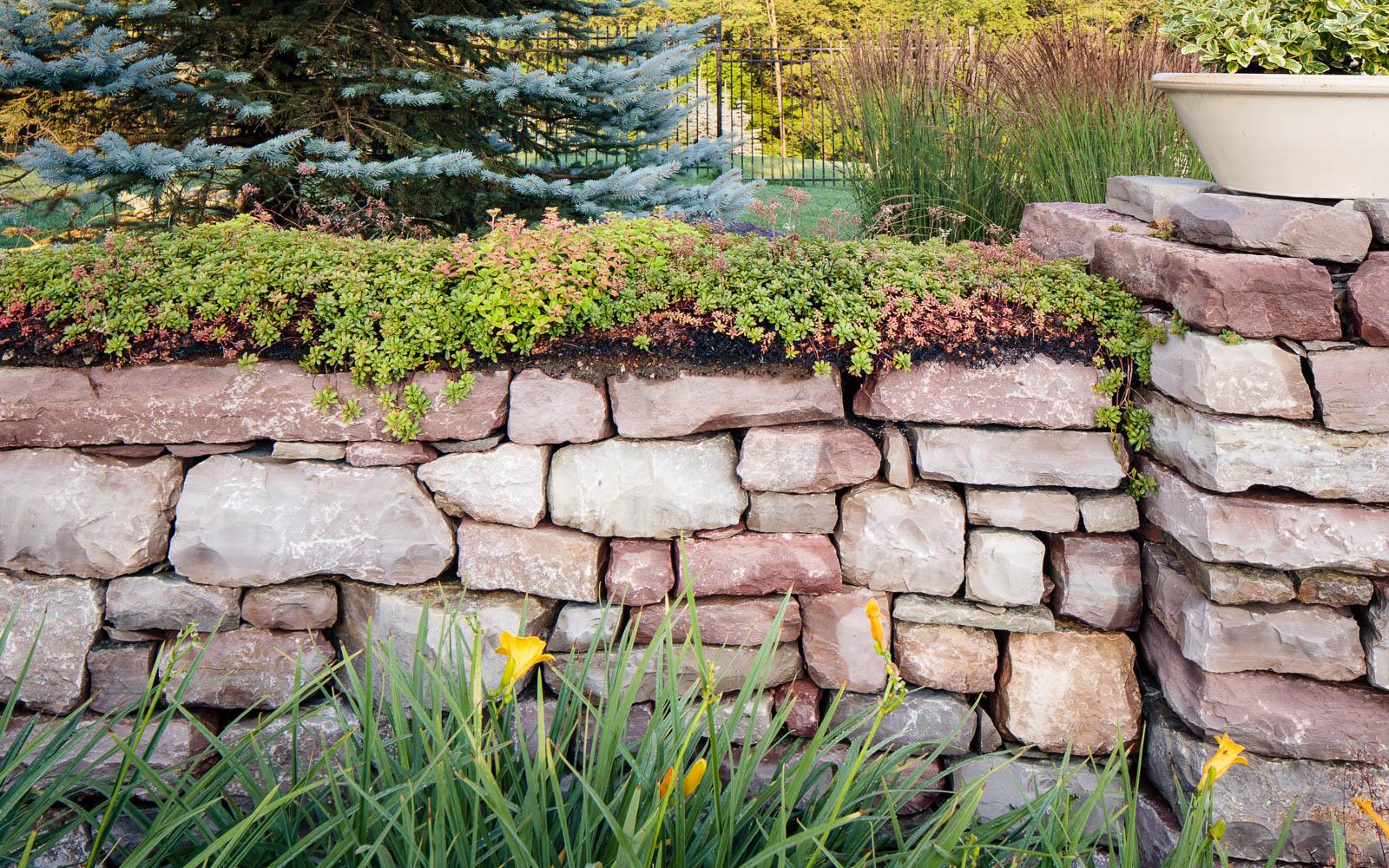 Dry-stacked stone retaining wall topped with sedum and daylilies.